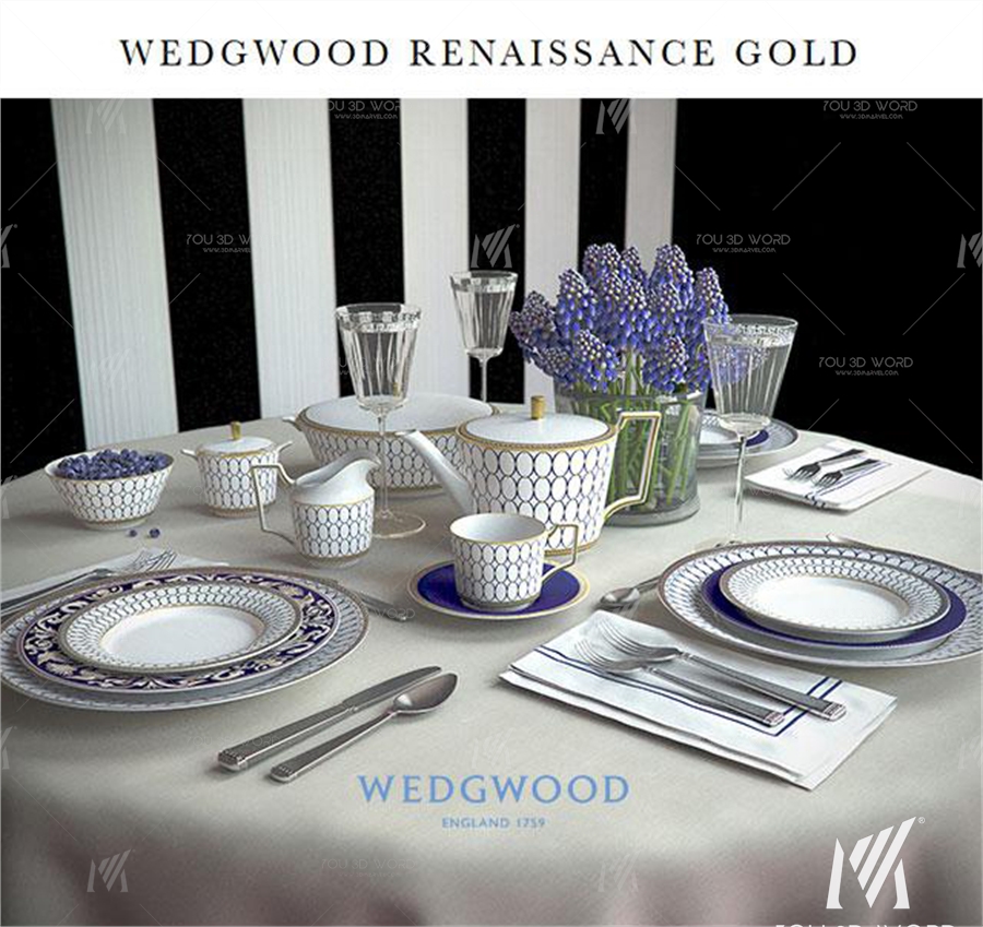 Wedgwood Renaissance Gold - Serving